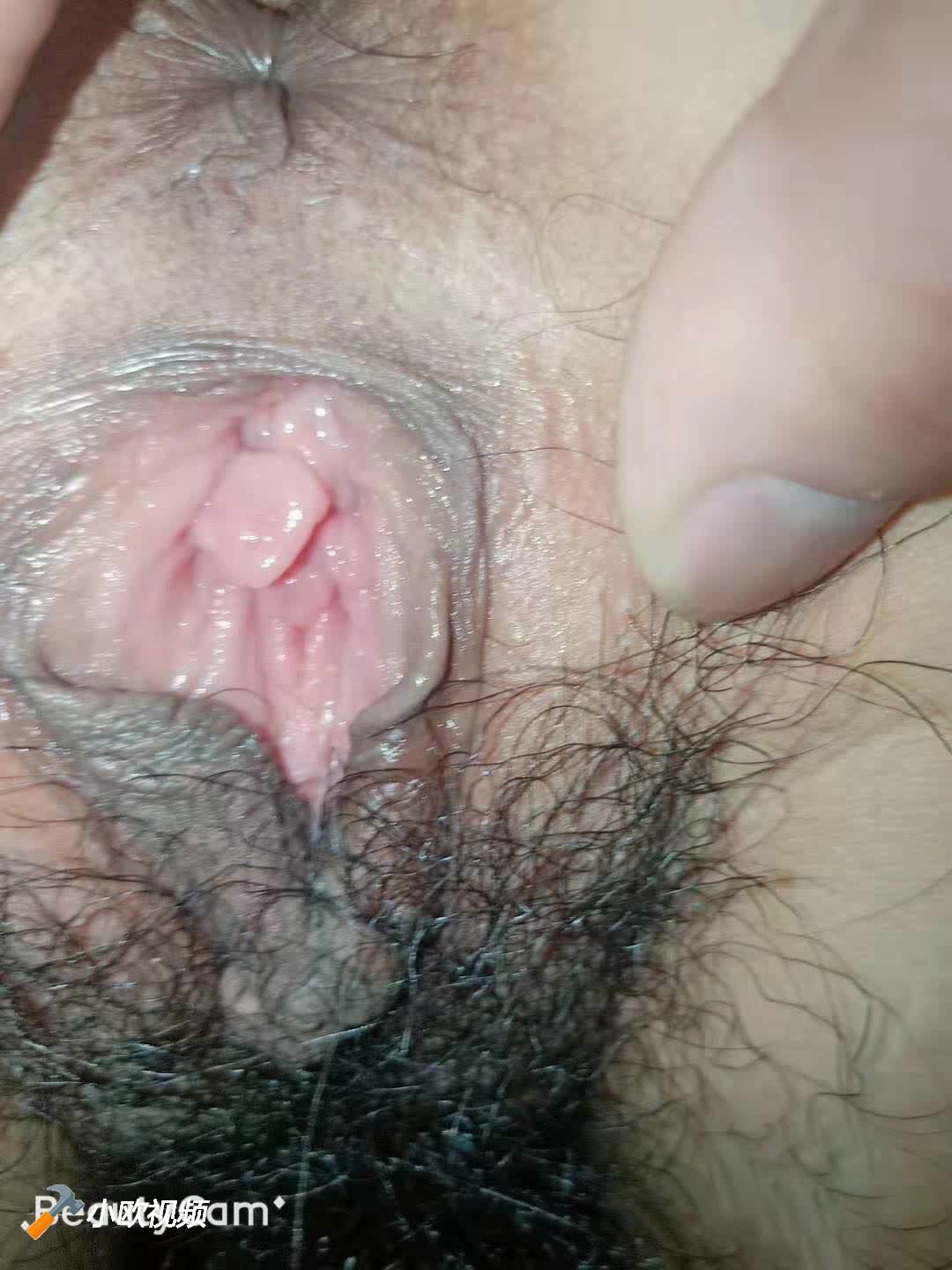 www.v2ba.org